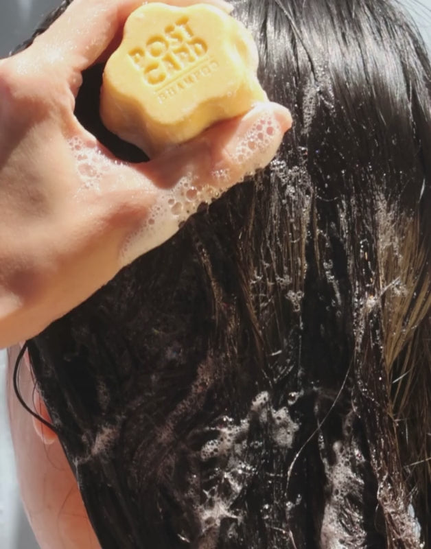 Coconut Beach Shampoo Bar