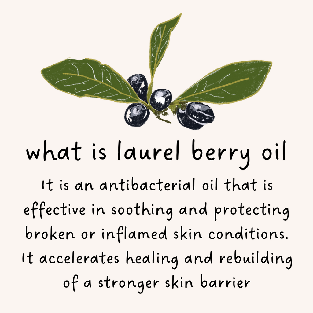 what is laurel berry oil