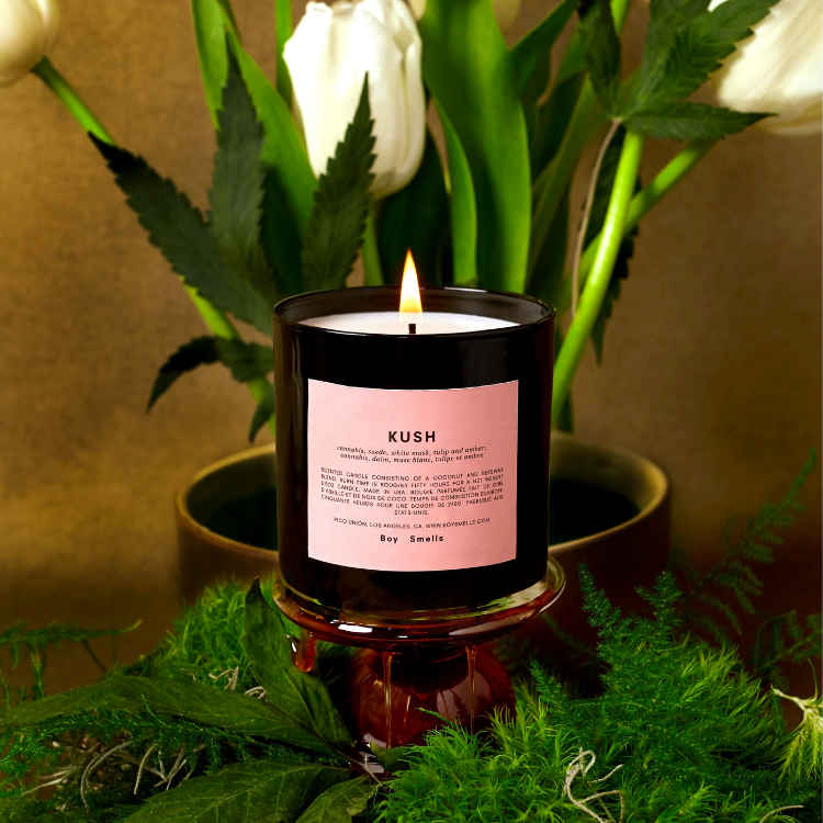 light candle with plant background from candle brand Boy Smells