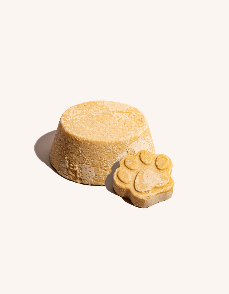 Pet Solid Shampoo Eucalyptus & Oatmeal